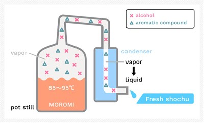 Kuidas mõjutab destilleerija kuju viski maitset